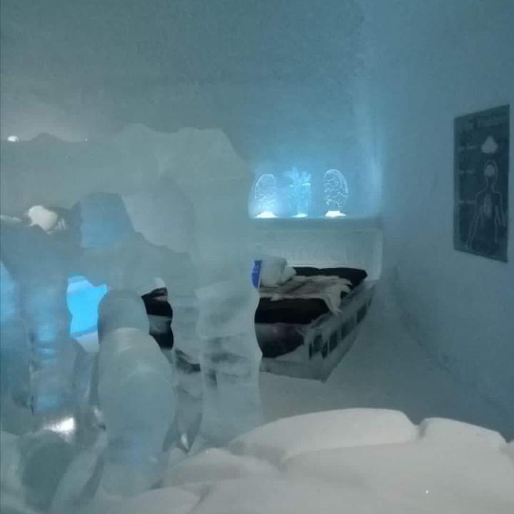 ⚡️TIME WILL TELL 🦞🔱👑