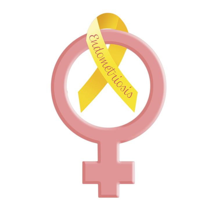 Endometriosis💛