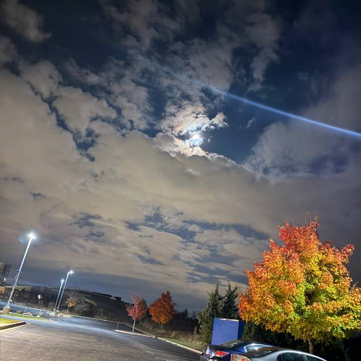 ❤️👑𝕷𝖚𝖎𝖘𝖆 ʙ𝘭𝔞ท𝑑σϞ👑❤️