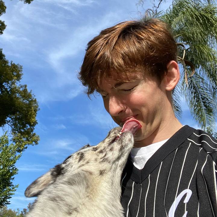 albert