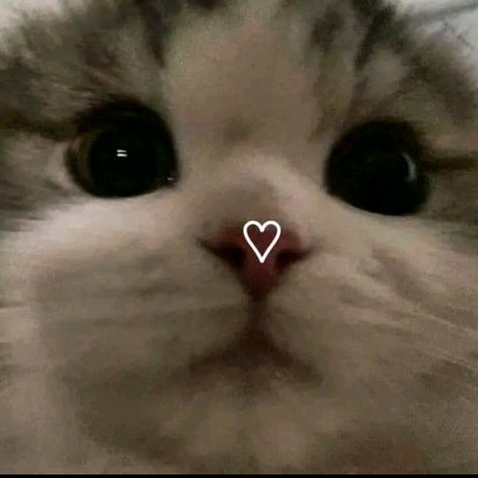 Probably studying 🤞🏻