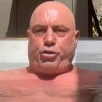 joe.rogan.tok