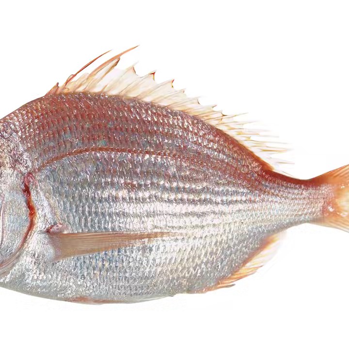 タイを食べたい