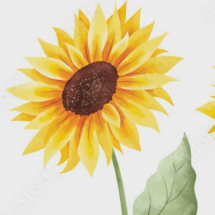 Sue-Petals N’ Crafts