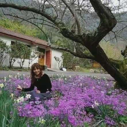 Enter papers Taiwanese (武思簪）