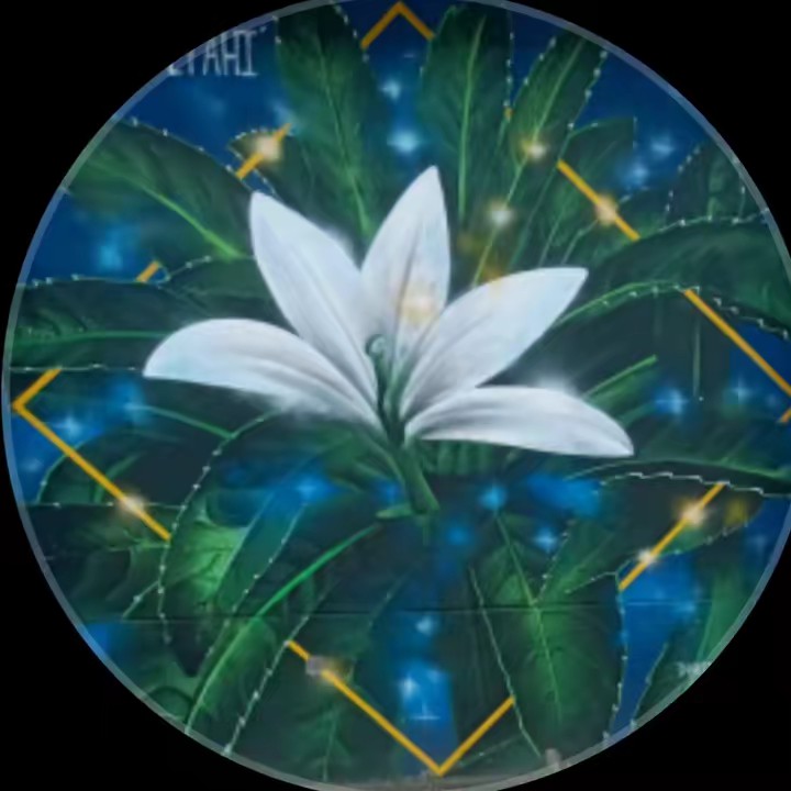 🩵🩶꧁ђ£к£@ภ!꧂🩶🩵