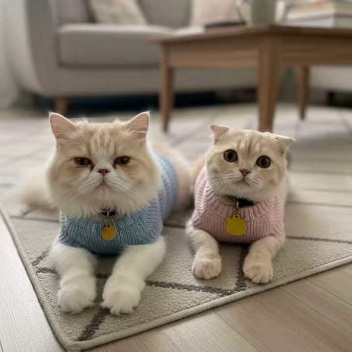 สก็อต - เฟอร์บี้