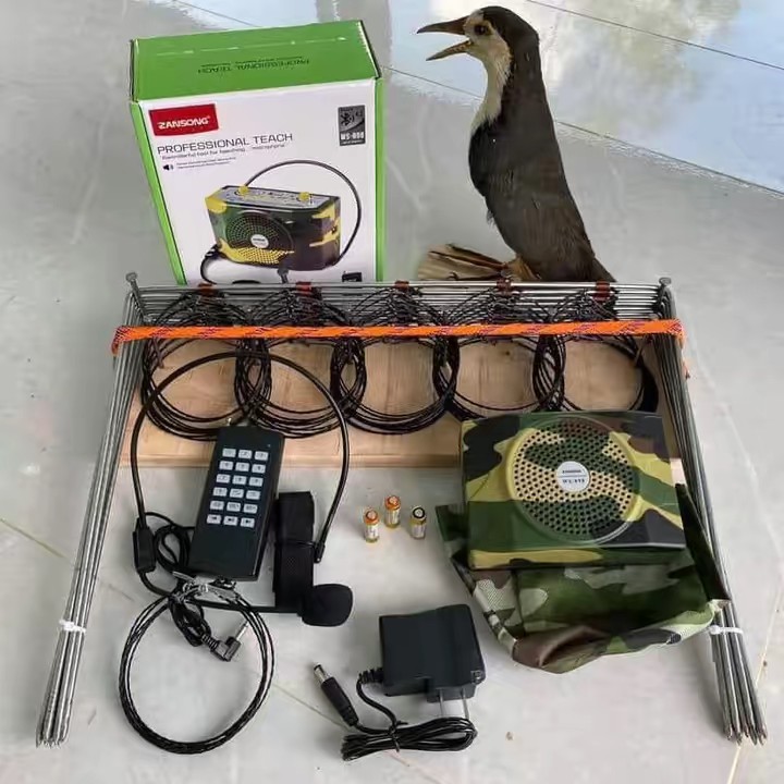 Cửa hàng đồ bẫy