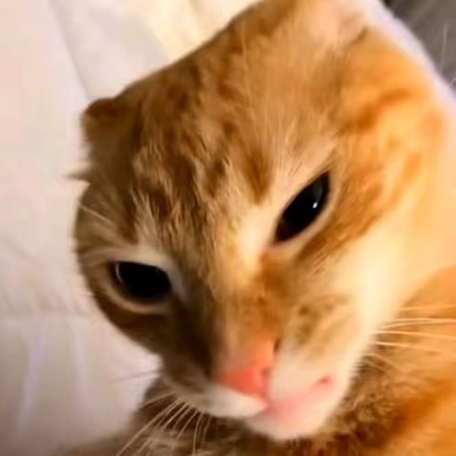 ₭hanh   𓅂 • Bạn bè