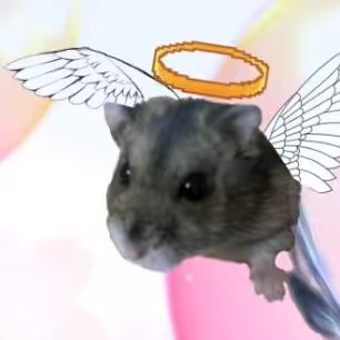 🐹ྀི抹茶ラテ💙🐱💜🐯💖