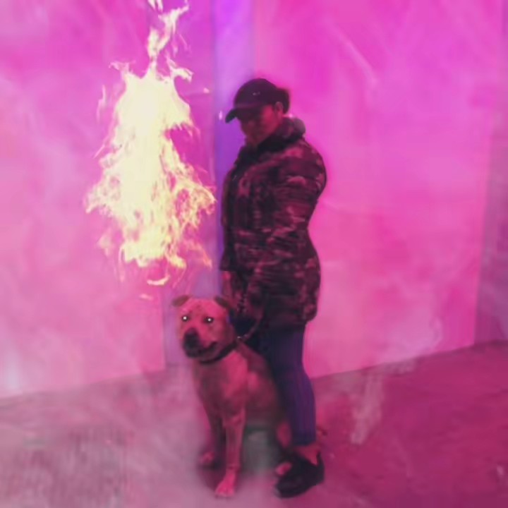 Miss Icey_Reallionaire