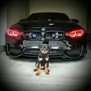 THUG LIFE GANGSTA WEST COAST