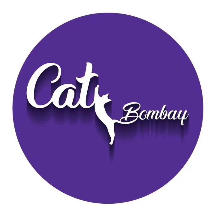 catbombay4