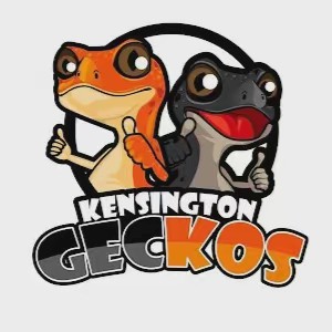 Kensington.Geckos