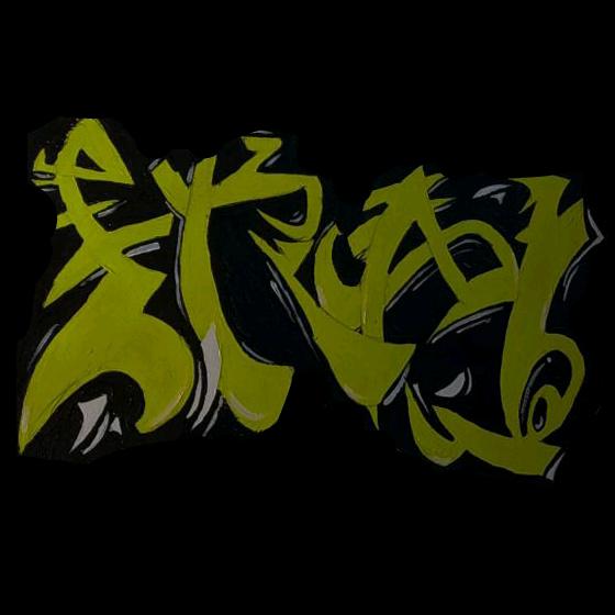 ارج علی رضوی