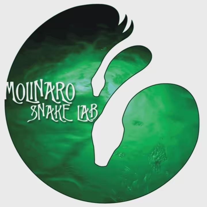 Keary Molinaro