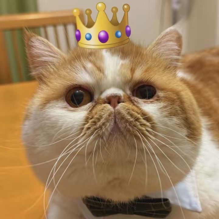 chataro🐾🍯family