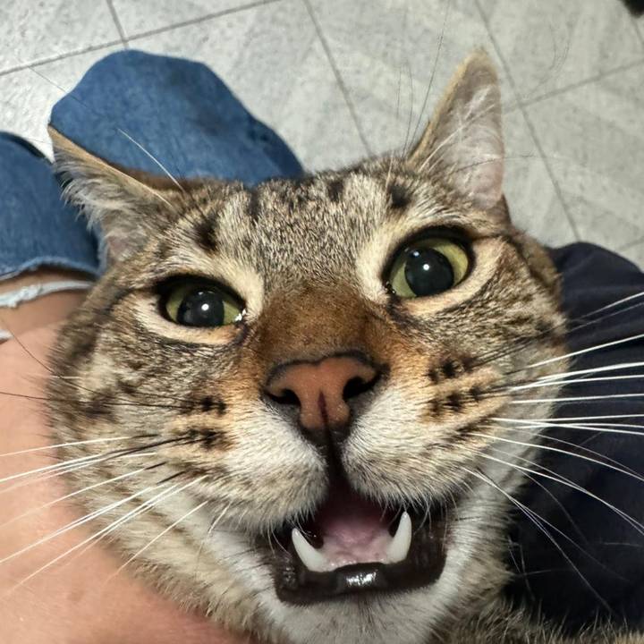 𝗋𝗎𝗍𝗁 𝖽í𝖺𝗓