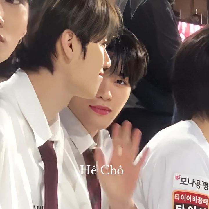 조해초아 𐙚 𝐻𝑎𝑒𝑗𝑜