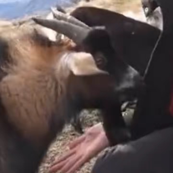 神山智洋のあと1cmになりたい