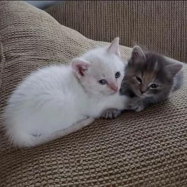 𝘀𝗮𝗴𝗲🏳️‍🌈