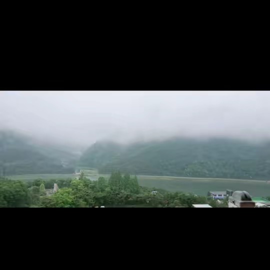 베니시오 델 토로