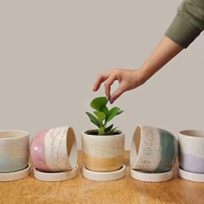 18_plantitas.bonitas