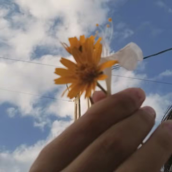 rapozinha_branca_★†★