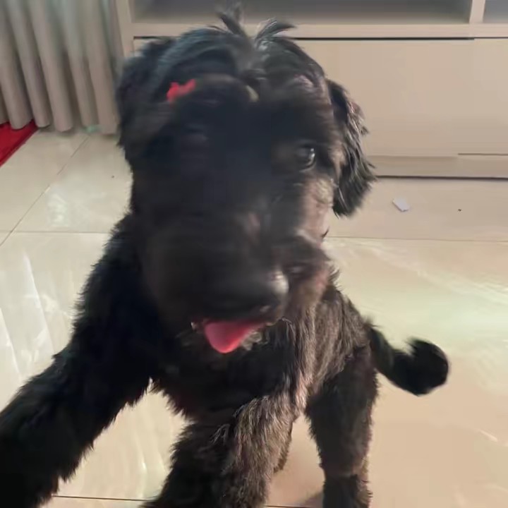 matilda 👩🏻‍🌾