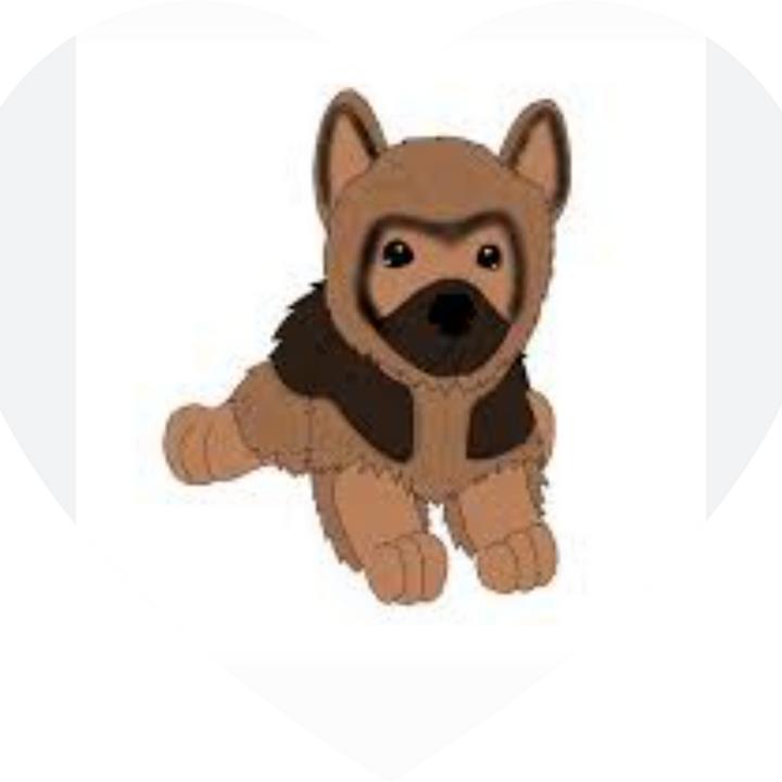 ♡*♡∞:｡.｡ 𝐿𝑢𝑐𝑦 ｡.｡:∞♡*♡