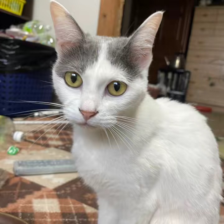 愉快な小野おんちゃん