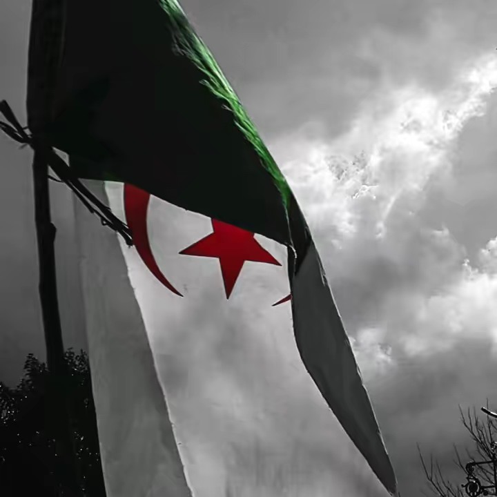 🇩🇿🇩🇿سفيان