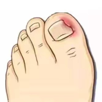 baida3