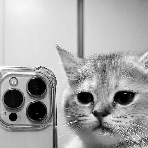 𓋹𝔼𝕤 𝕊𝕦 ℂ𝕒𝕤𝕒💜🧸