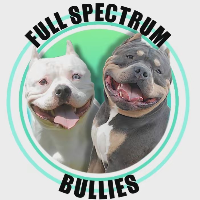 Full Spectrum Bullies