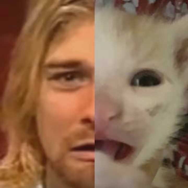 ♫🌲𝕯𝖎𝖆𝖓𝖆🪵🗻