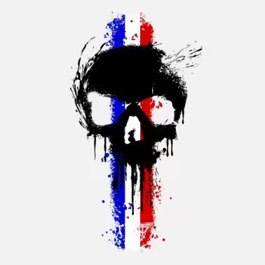 Le Napoléoniste 🇫🇷⚜️