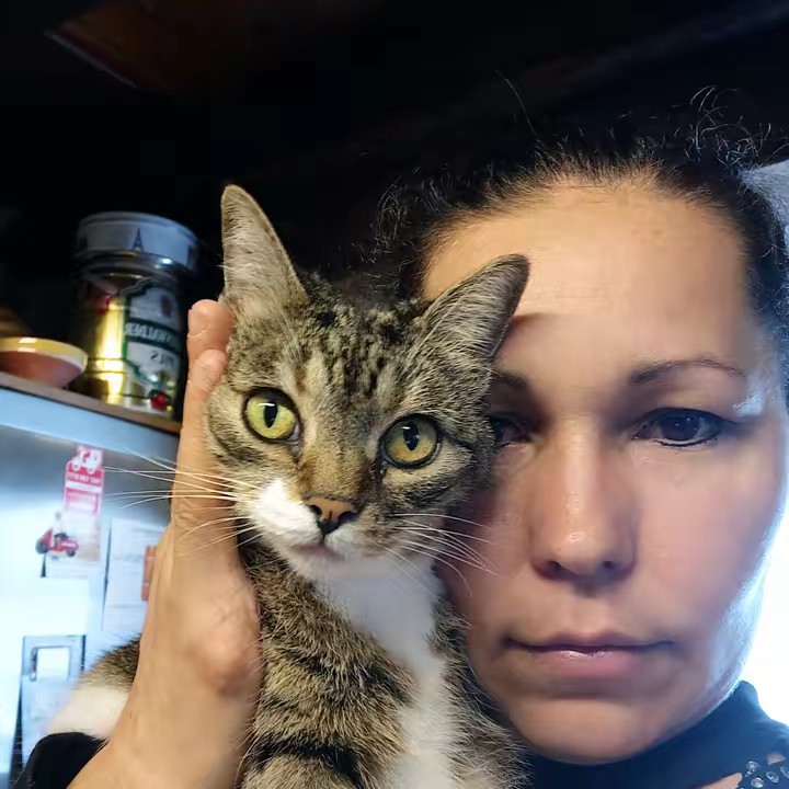 kelly.pds🇪🇸🇧🇷