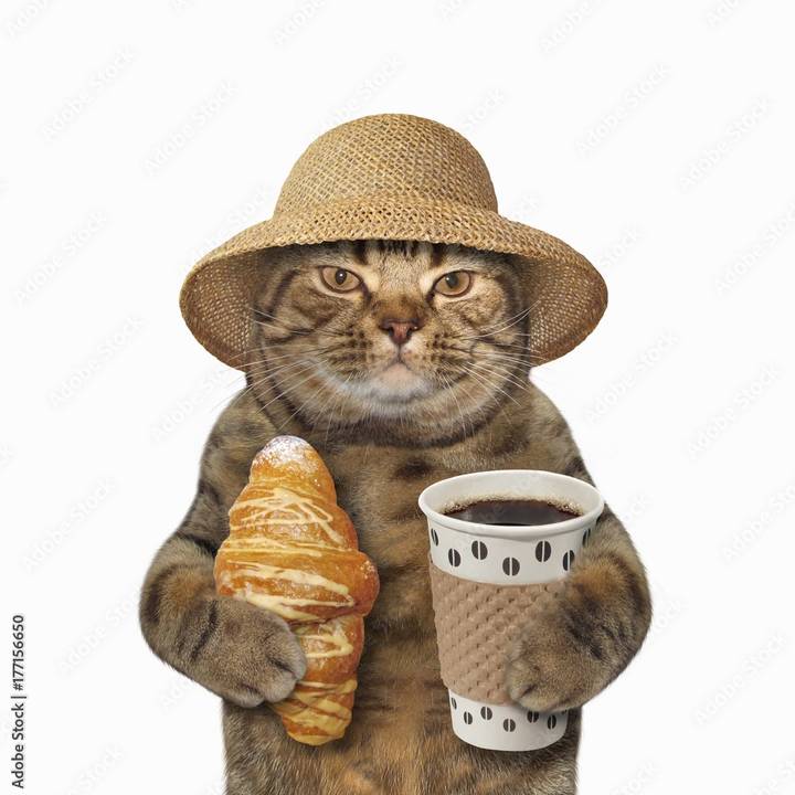 🥧🌻savgr 🍁☕️