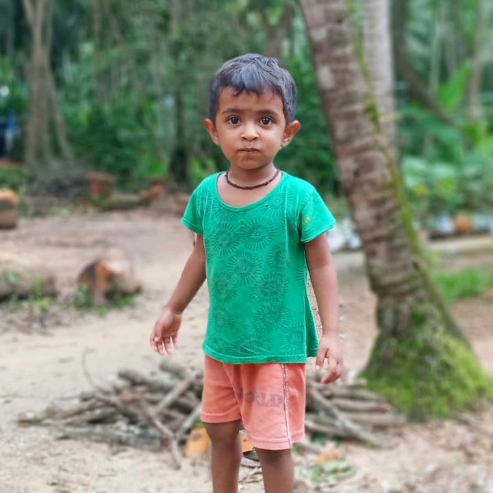 തൈപ്പറമ്പിൽ ജോജി