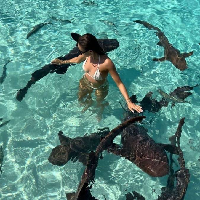 🐬☀️🏝️🥥