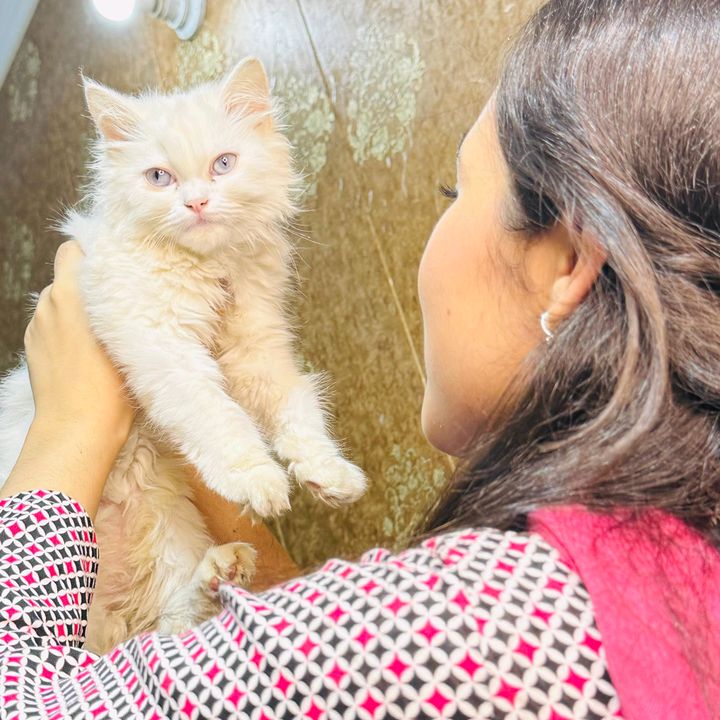 𝑆𝐻𝐸𝑍𝐴🕊️