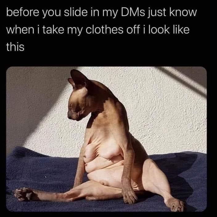 Meganwhatsmynameagain