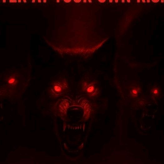 ❤️ Dirty South Dawgs nation🖤