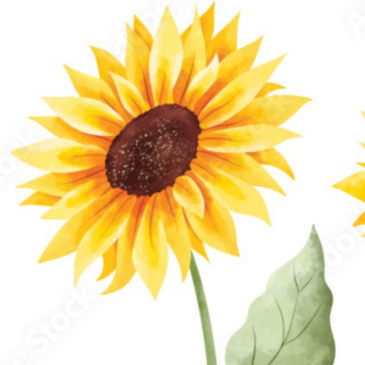 Sue-Petals N’ Crafts