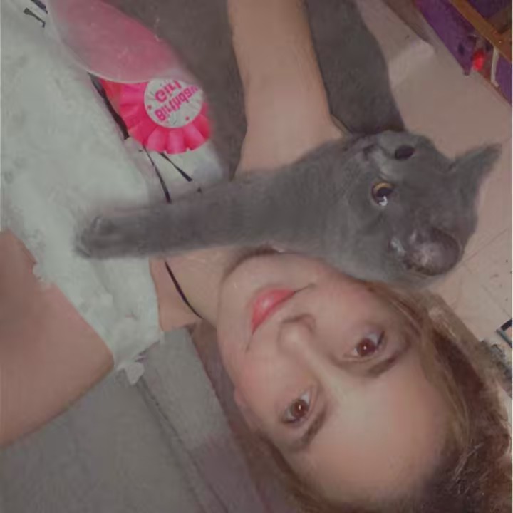 𓆉𝕙𝕒𝕟𝕟𝕒𝕙 𝕤𝕠𝕡𝕙𝕚𝕖𓆉