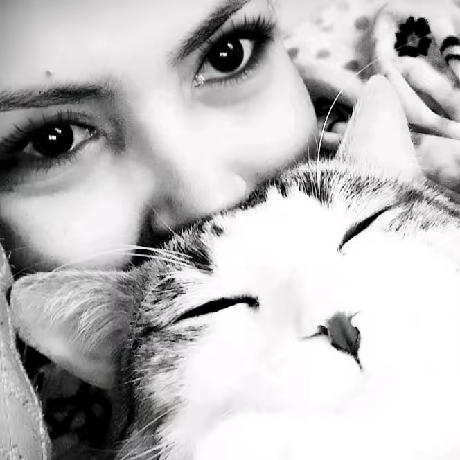 ฅ^•ﻌ•^ฅ꧁😻ㄒꪮꪑ😻꧂ฅ^•ﻌ•^ฅ