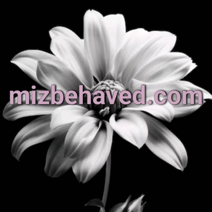 mizbehaved