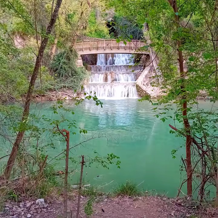 María  ماريا 🩵 Moka 2 🐈‍⬛