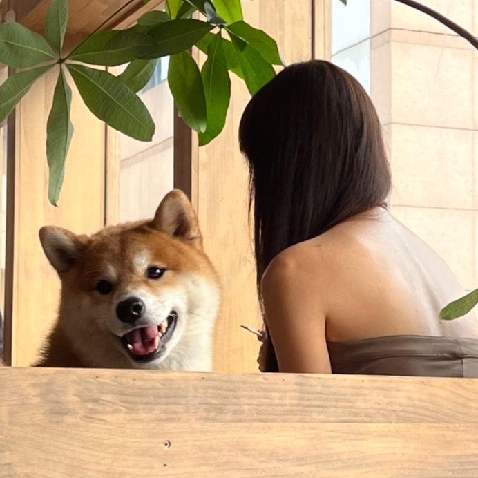 Hengqiang Commerce and Trade